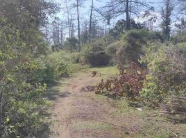  Land for sale in Tegal Wangi Beach, Kuta, Kuta