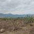  Terrain for sale in Oaxaca, Dist Tlacolula, Oaxaca