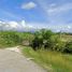 Land for sale in Liloan, Central Visayas, Liloan