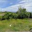  Land for sale in Liloan, Central Visayas, Liloan