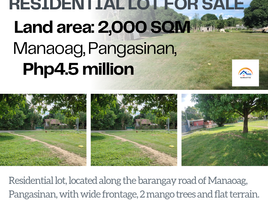  Land for sale in Pangasinan, Ilocos, Manaoag, Pangasinan