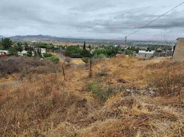  Grundstück zu verkaufen in Tlajomulco De Zuniga, Jalisco, Tlajomulco De Zuniga