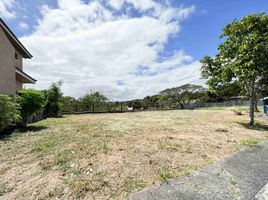  Land for sale in Las Pinas City, Metro Manila, Las Pinas City