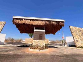  Terreno (Parcela) en venta en Conkal, Yucatán, Conkal