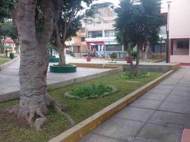 3 Bedroom Condo for sale in Santiago De Surco, Lima, Santiago De Surco, Lima, Lima