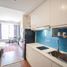1 Phòng ngủ Chung cư for rent in Phường 12, TP.Hồ Chí Minh, Phường 12