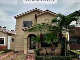 5 Bedroom House for sale in Guayas, Samborondon, Samborondon, Guayas