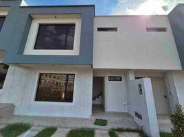 3 Schlafzimmer Haus zu verkaufen in Conocoto, Pichincha, Conocoto
