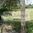  Land for sale in Cunduacan, Tabasco, Cunduacan, Tabasco