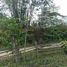  Land for sale in Bukidnon Northern Mindanao, Libona, Bukidnon