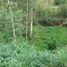  Land for sale in Bukidnon Northern Mindanao, Libona, Bukidnon