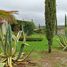 4 Schlafzimmer Villa zu verkaufen in Aculco, Mexico, Aculco