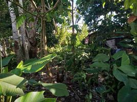  Grundstück zu verkaufen in Maynas, Loreto, Iquitos, Maynas, Loreto