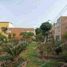 Maison 5 chambre à vendre à Los Olivos, Lima, Los Olivos, Lima, Lima, Pérou