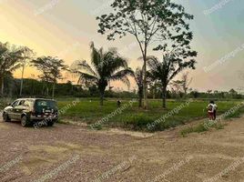  Terrain for sale in Tambopata, Madre De Dios, Tambopata, Tambopata