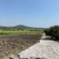  Land for sale in Temixco, Morelos, Temixco