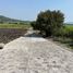  Land for sale in Temixco, Morelos, Temixco