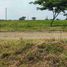  Land for sale in Samborondon, Guayas, Samborondon, Samborondon