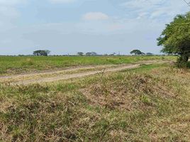  Terreno (Parcela) en venta en Ecuador, Samborondon, Samborondón, Guayas, Ecuador