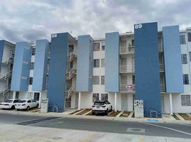 2 Bedroom Condo for rent in Zapopan, Jalisco, Zapopan