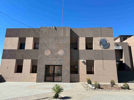 520 平米 Office for rent in Sonora, Hermosillo, Sonora
