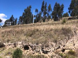  Terrain for sale in Tungurahua, Ambato, Ambato, Tungurahua