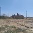  Terreno (Parcela) en venta en Castilla, Piura, Castilla, Piura, Piura