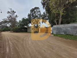 在Lurin, Lima出售的 土地, Lurin