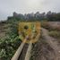 在Lurin, Lima出售的 土地, Lurin