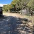  Land for sale in Zapopan, Jalisco, Zapopan, Jalisco