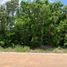  Land for sale in Cancun Quintana Roo, Cancun