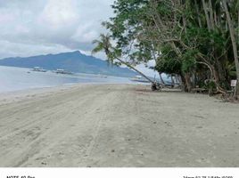  Grundstück zu verkaufen in El Nido, Mimaropa, El Nido