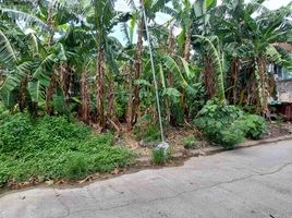  Terreno (Parcela) en venta en Muntinlupa City, Metro Manila, Muntinlupa City, Southern District, Metro Manila