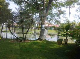 3 Bedroom House for sale in Samborondon, Guayas, Samborondon, Samborondon