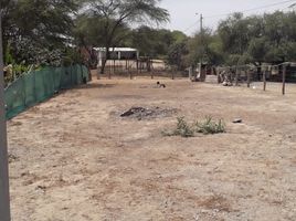  Terreno (Parcela) en venta en Sullana, Piura, Sullana, Sullana