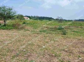  Terreno (Parcela) en venta en Samborondón, Guayas, Samborondon, Samborondón