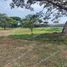  Land for sale in Samborondon, Guayas, Samborondon, Samborondon