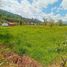 2 chambre Maison for sale in Boyaca, Paipa, Boyaca