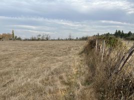  Terrain for sale in Linares, Maule, Parral, Linares