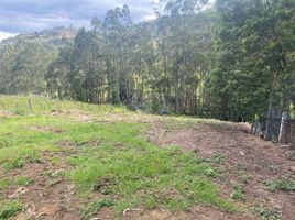  Terreno (Parcela) en venta en Cañar, Javier Loyola (Chuquipata), Azogues, Cañar