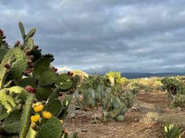  Land for sale in Doctor Mora, Guanajuato, Doctor Mora