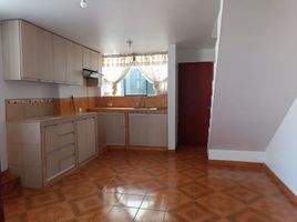 4 Habitación Departamento en venta en Lima, Comas, Lima, Lima