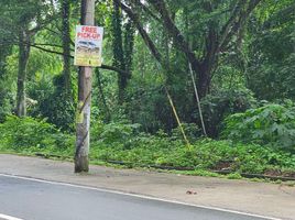  Grundstück zu verkaufen in Indang, Calabarzon, Indang