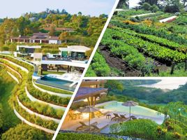  Terreno (Parcela) en venta en Balamban, Central Visayas, Balamban