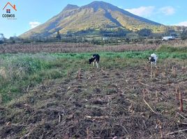  Land for sale in Imbabura, Otavalo, Otavalo, Imbabura