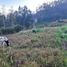  Terrain for sale in Imbabura, Otavalo, Otavalo, Imbabura