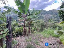  Terrain for sale in Malacatos Valladolid, Loja, Malacatos Valladolid