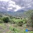  Land for sale in Loja, Malacatos Valladolid, Loja, Loja