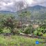  Land for sale in Loja, Malacatos Valladolid, Loja, Loja