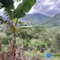  Land for sale in Loja, Malacatos Valladolid, Loja, Loja